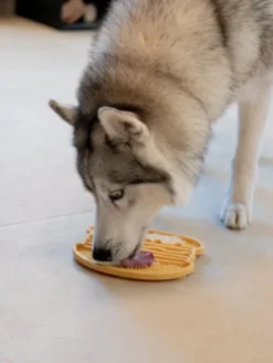 Tapis de léchage 🍔 pour chien et chat - YoomY Burger - inooko