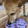 Tapis de léchage pour chien - Mandala Softie Violet Clair - SodaPup