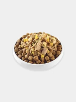 Topping à base de bouillon pour chien - Thon 🐟 et Potiron