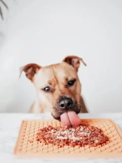 Topping à saupoudrer pour Chien - Foie de boeuf 🐄 - Mr Bones