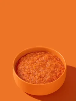 Topping smoothie de carottes 🥕 pour chien - Fred & Felia
