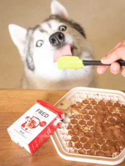 Topping Smoothie pour chien - Boeuf 🐂 - Fred & Felia