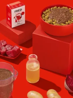 Topping Smoothie pour chien - Boeuf 🐂 - Fred & Felia