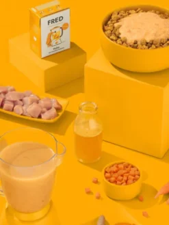 Topping Smoothie pour chien - Poulet 🐓 - Fred & Felia