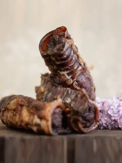 5 trachées de Boeuf fourrées aux superaliments - Cannelloni - Paul & Paulina