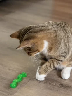 Vers de Terre pour chat senteur d'herbe à chat - OrkaKat - Pet stages