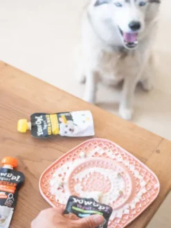 Yaourt à boire pour chien - Articulations goût poulet 🐓 - Yow Up !