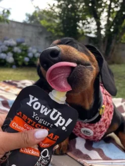 Yaourt à boire pour chien - Articulations goût poulet 🐓 - Yow Up !